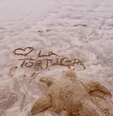 La Tortuga Hostel Costa Adeje