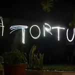Vandrarhem La Tortuga Costa Adeje (Tenerife)