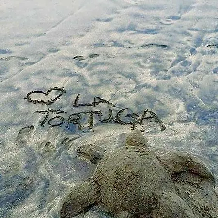 La Tortuga *
