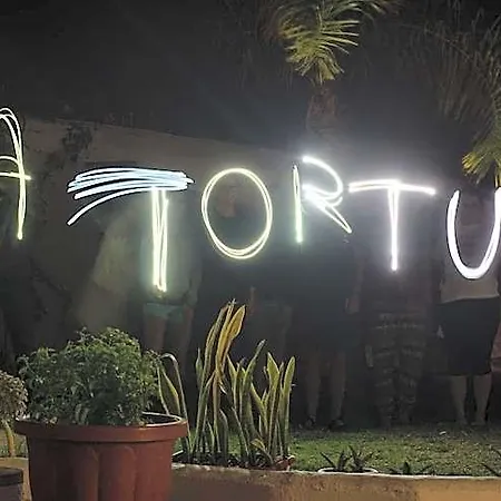 La Tortuga 호스텔 아데제