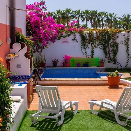 La Tortuga Hostel Costa Adeje (Tenerife)