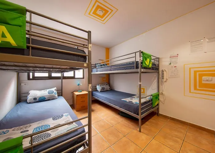 La Tortuga * アデヘ