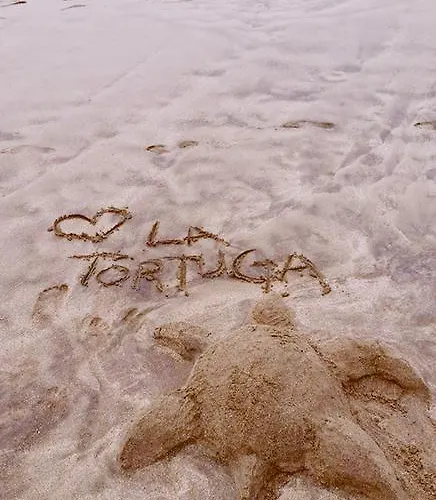 La Tortuga ホステル アデヘ