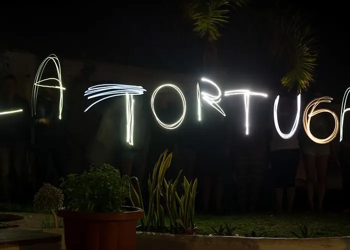 ホステル La Tortuga アデヘ